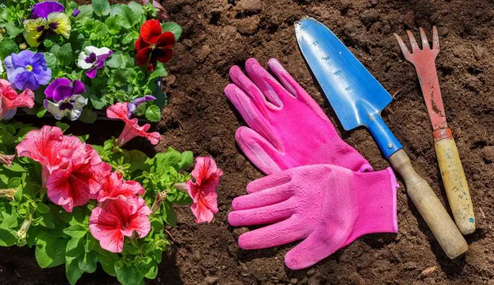 Gants et truelles